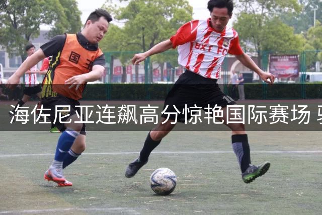 海佐尼亚连飙高分惊艳国际赛场 骑士如何激活这位全能锋线